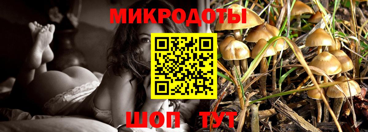 Псилоцибиновые грибы GOLDEN TEACHER Королёв