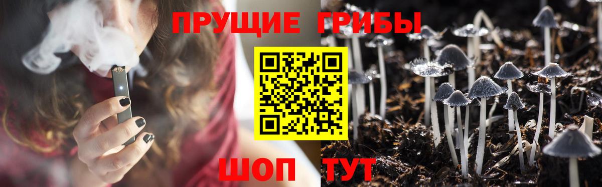 Галлюциногенные грибы MAGIC MUSHROOMS  Вход с VPN  Королёв 